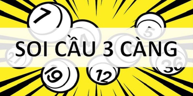 Chi tiết dàn đề 3 càng miền bắc